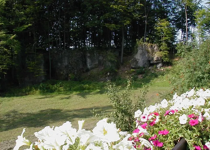 Gaestehaus Bruetting オーバートルバッハ